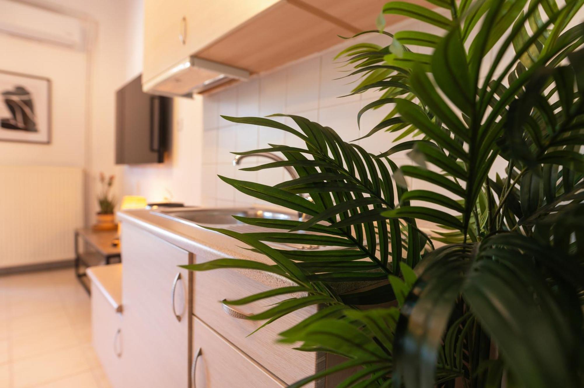 Gardens Of Babylon Suite By Heaven'S Hall Luxury Suites Aleksandropolis Zewnętrze zdjęcie